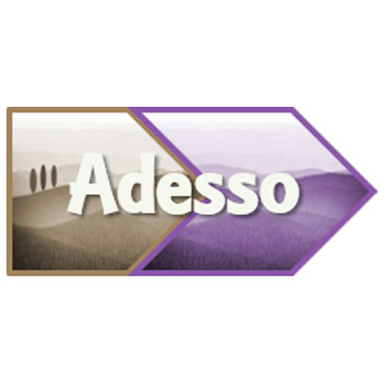 Adesso Advies